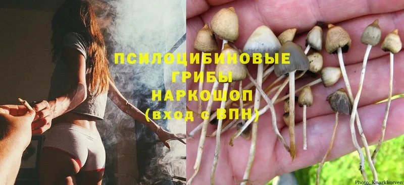 Галлюциногенные грибы MAGIC MUSHROOMS  Отрадная 